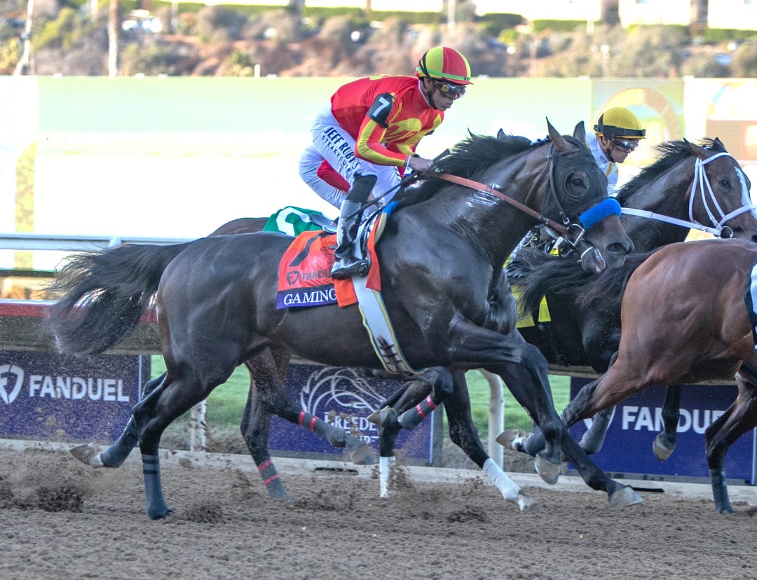 Gaming (not winner) BC Juvenile at DMR Nov 1 2024