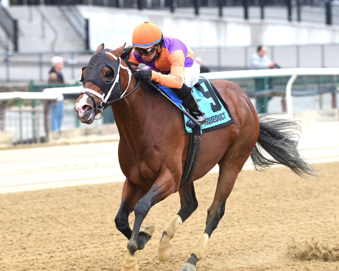 Giant Mischief wins Fall Highweight at AQU Nov 29 2024