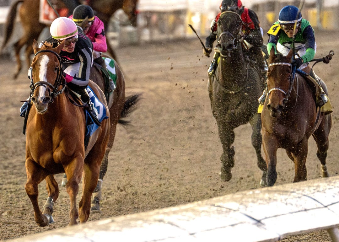 Her Laugh wins Untapable at FG Dec 21 2024