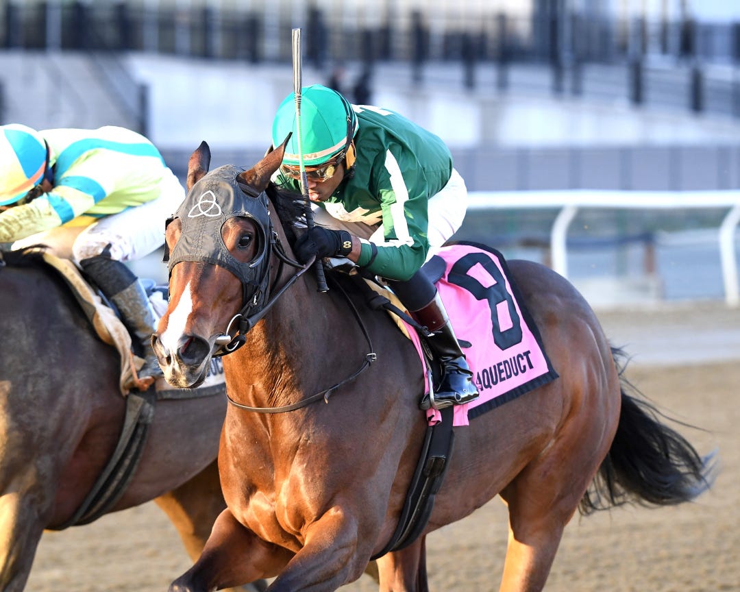 Kant Hurry Love wins Garland of Roses at AQU Dec 8 2024