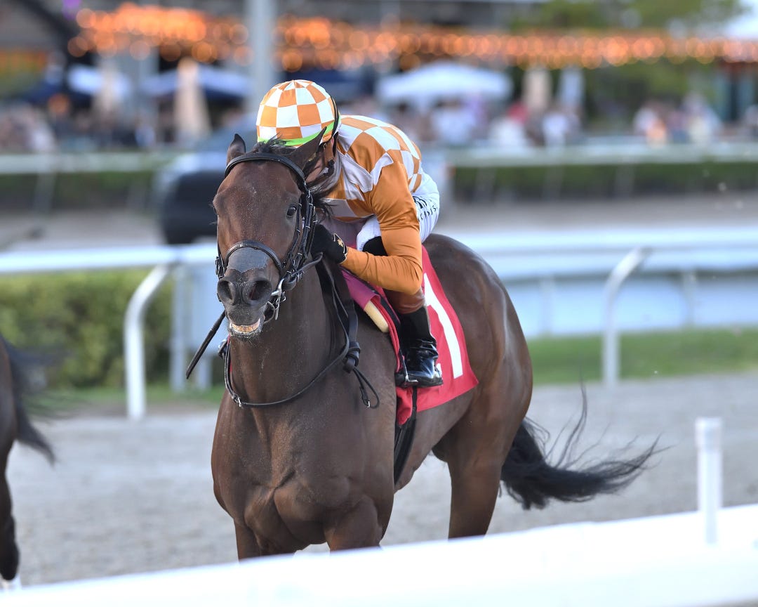 Karaya win s overnight handicap at GP Nov 24 2024