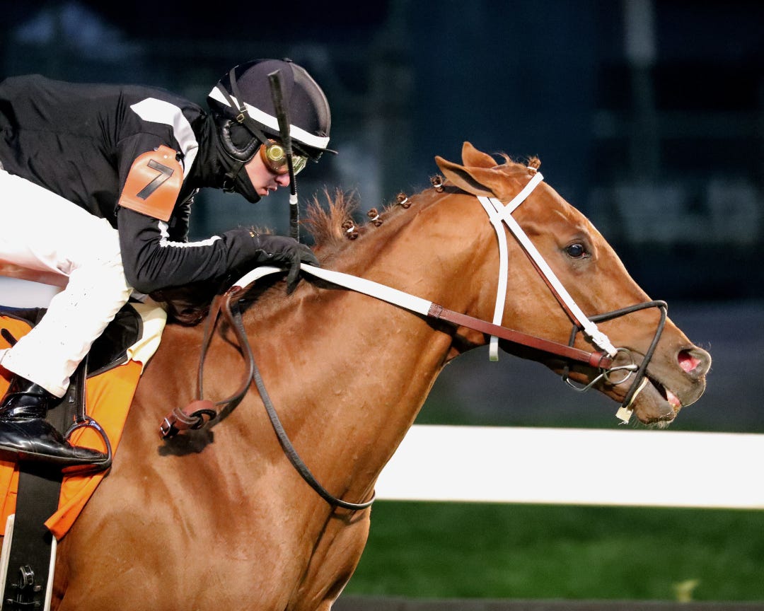 Lagynos wins Commonwealth Turf at CD Nov 23 2024