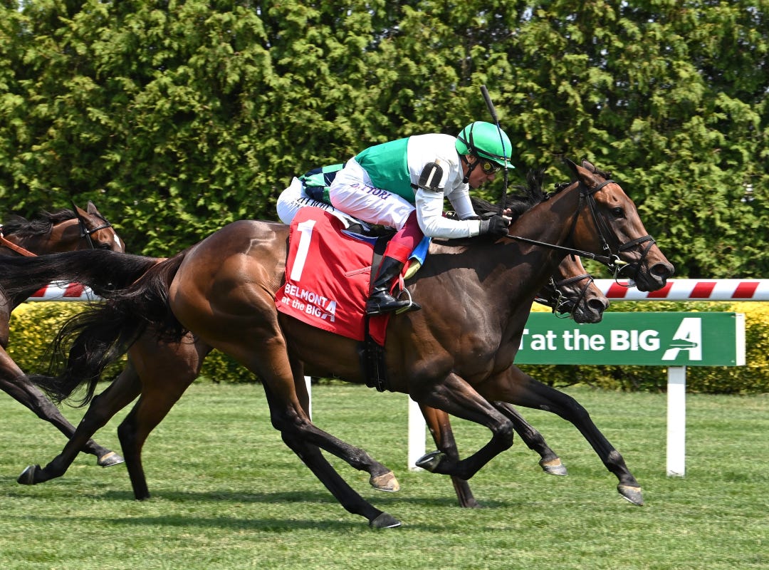 Mouffy finishes first (DQ medication) at AQU July 4 2024