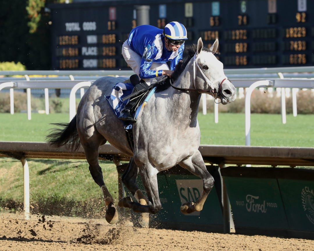 Muhimma wins at CD Nov 1 2024