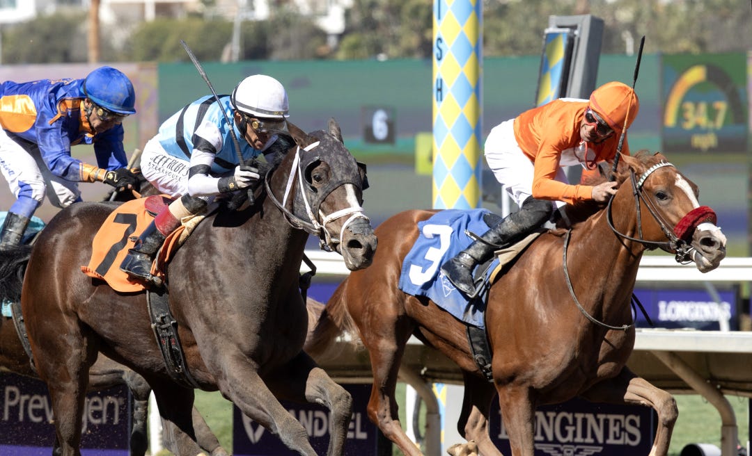 Tequilaandtherapy (right) beats Grateful My Love in Golden State Juvenile Fillies at DMR Nov 1 2024