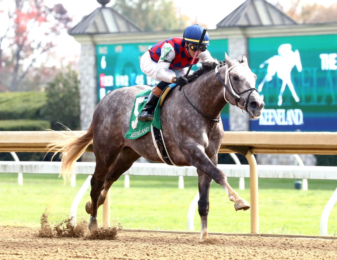 Voila Magic wins maiden at KEE Oct 25 2024
