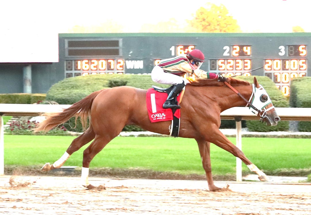 American Promise wins maiden at OP Dec 29 2024