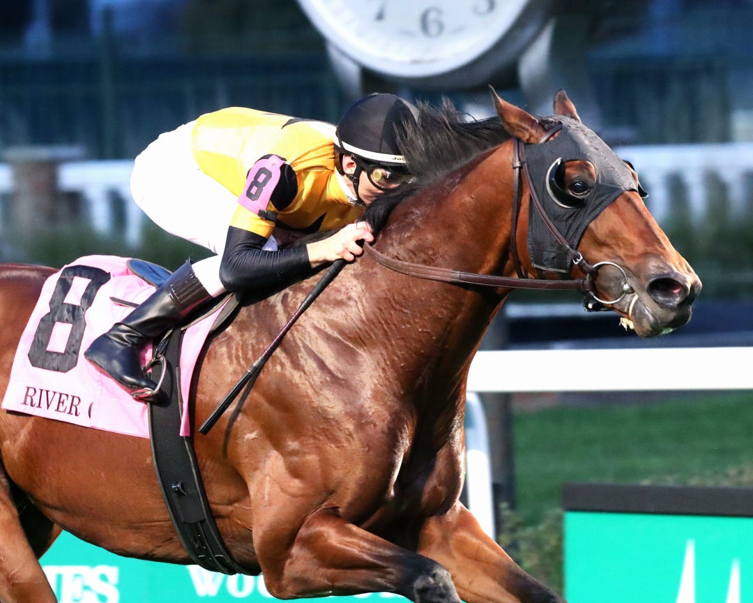 Battle of Normandy wins River City at CD Nov 9 2024