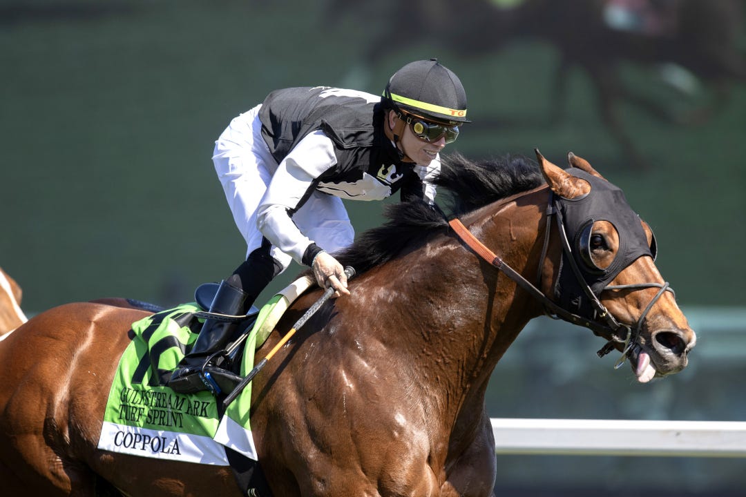Coppola wins the Gulfstream Park Turf Sprint Jan 25 2025