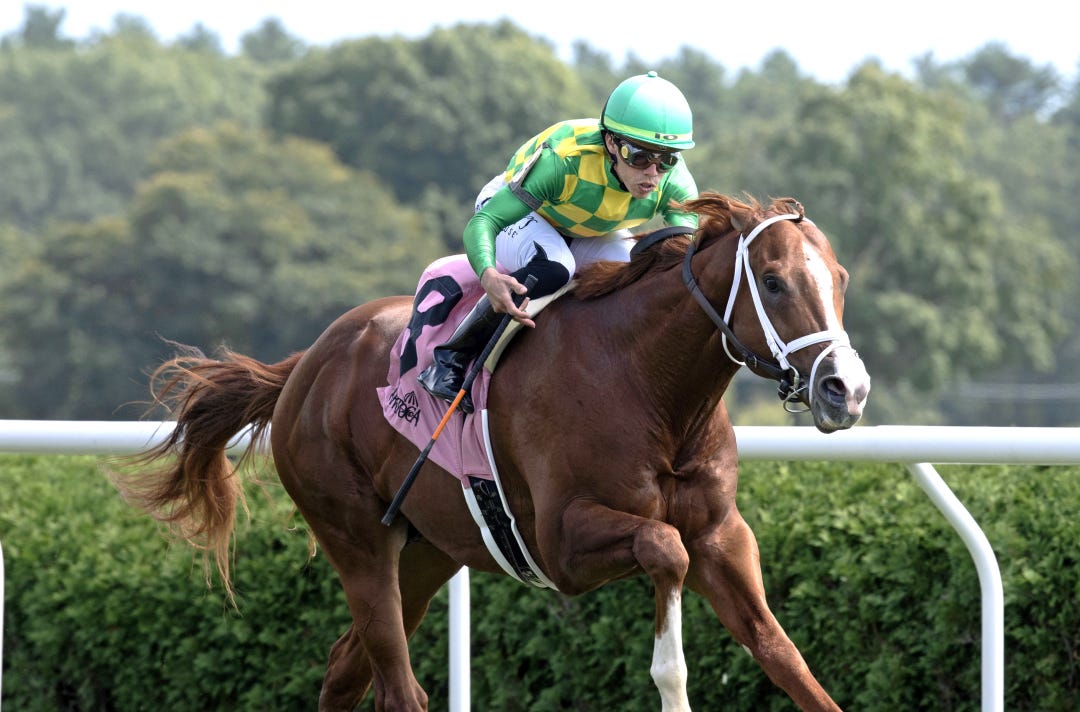 Gate to Wire wins maiden at SAR Aug 30 2024