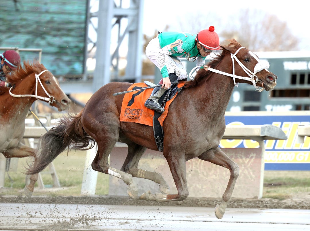 Global Steve wins Future Stars Stakes at PRX Dec 30 2025