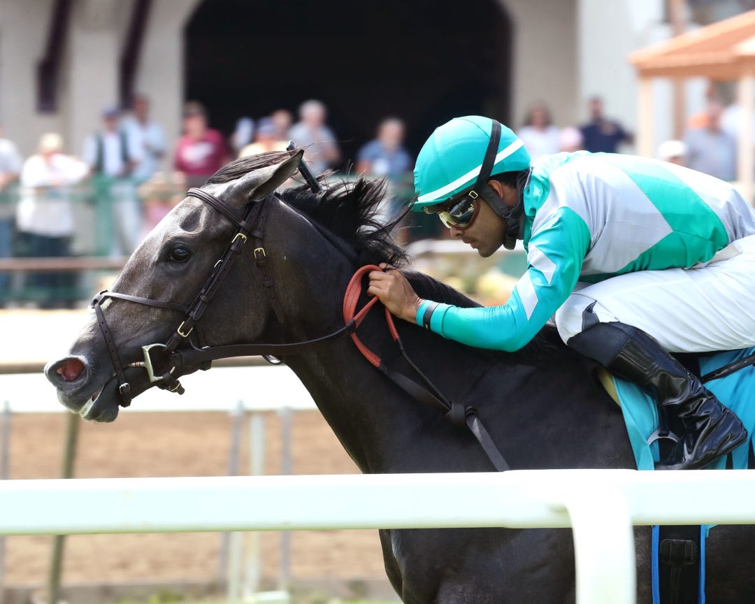 Gloria's Princess wins at ELP June 25 2023