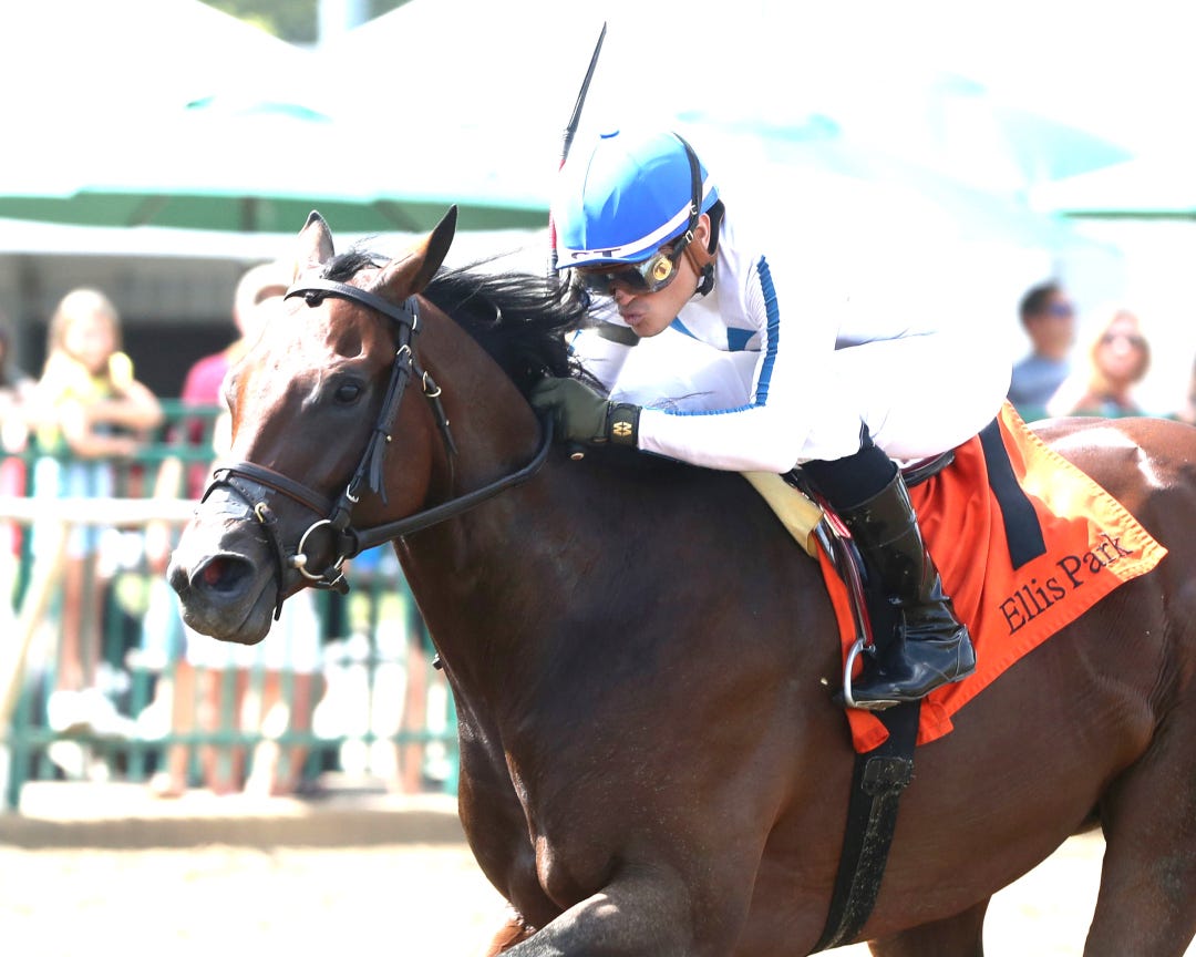 Owen Almighty wins Ellis Park Juvenile Aug 11 2024