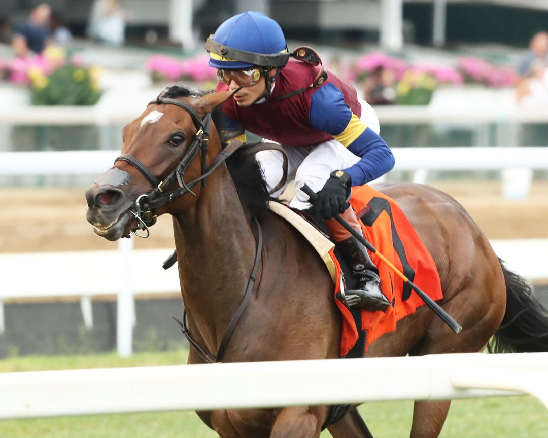 Papilio wins at CD June 20 2024