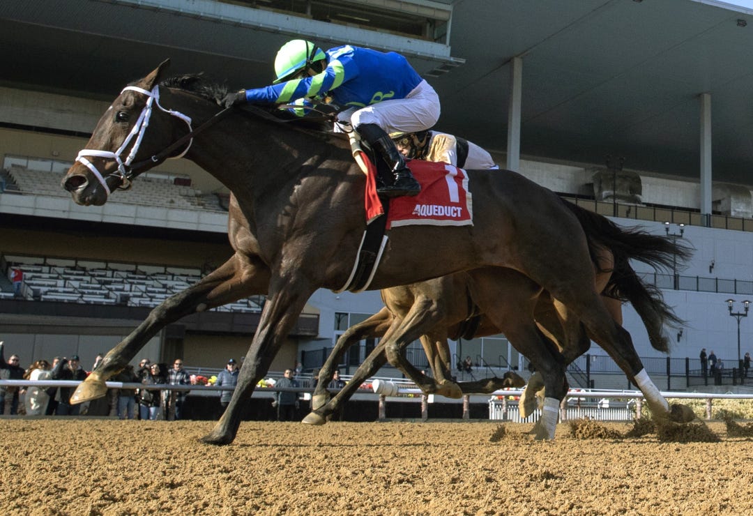 Tizzy in the Sky wins Go for Wand at AQU Dec 7 2024