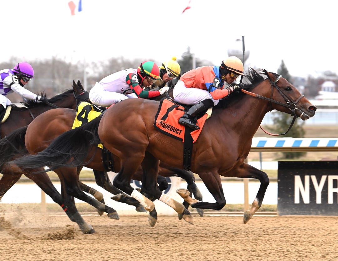 American Monarch wins at AQU Dec 31 2023