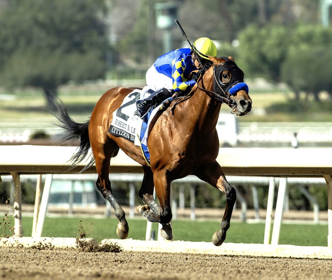 Citizen Bull wins Robert B. Lewis at SA Feb 1 2025