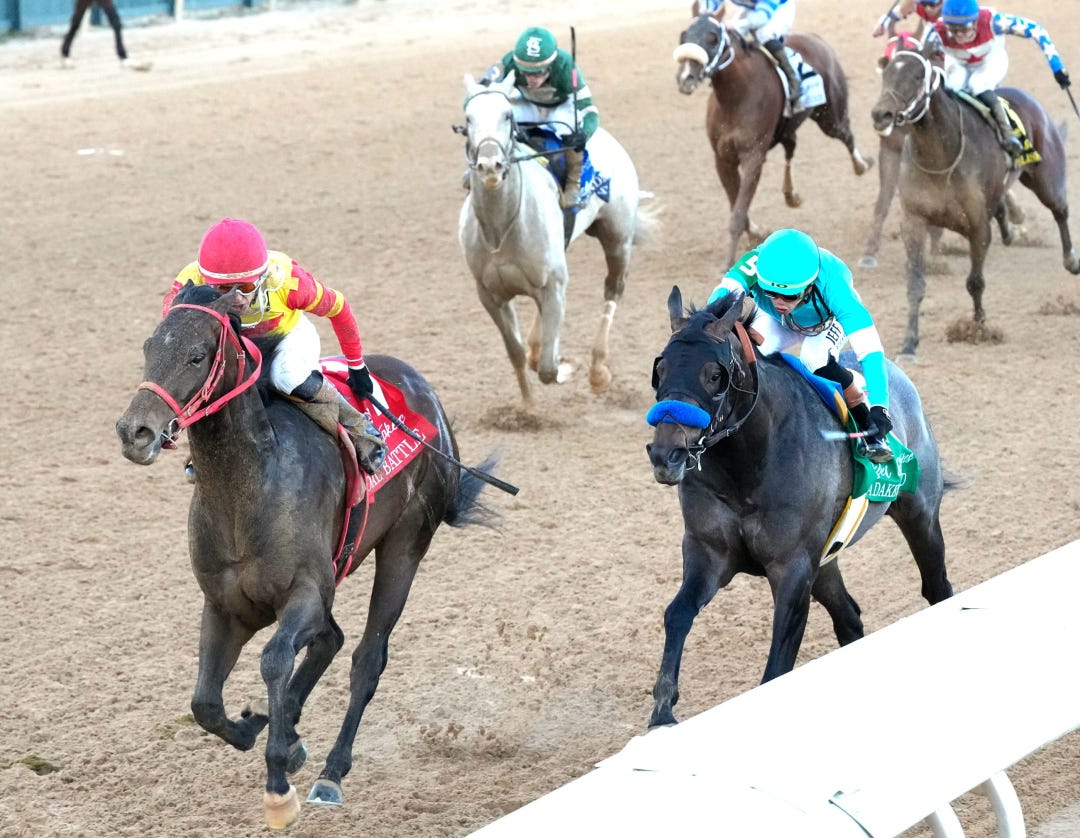 Coal Battle beats Madaket Road in Rebel at OP Feb 23 2025