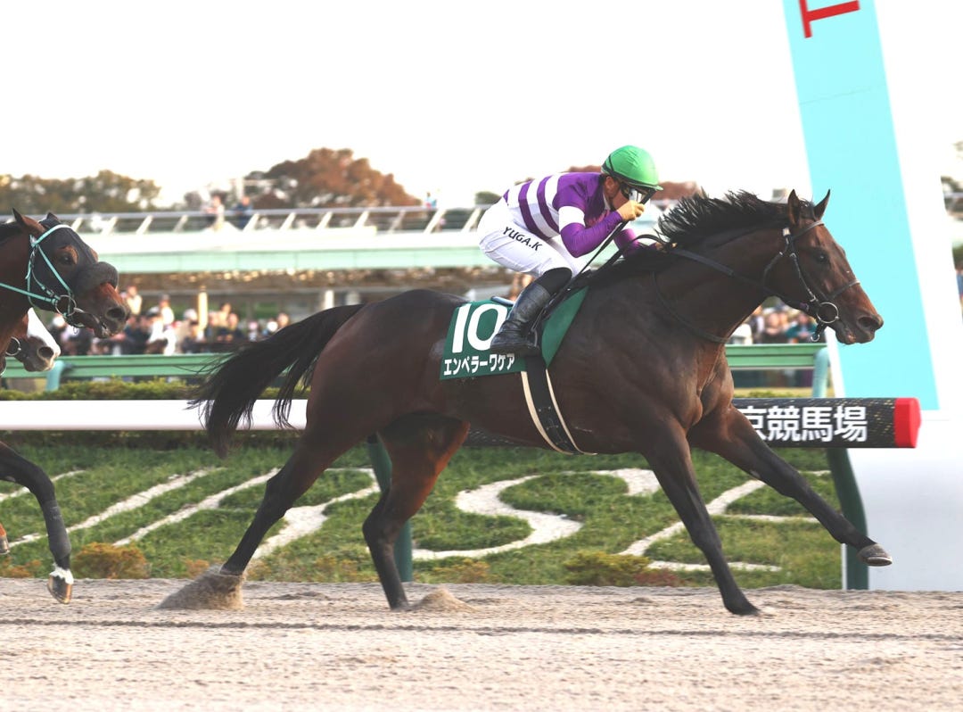 Emperor Wakea wins Tokyo Chunichi Sports Hai Musashino Stakes Nov 9 2024