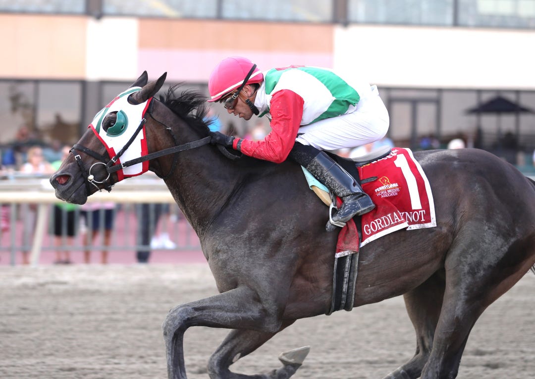 Gordian Knot wins the Jump Start at PRX Aug 26 2024