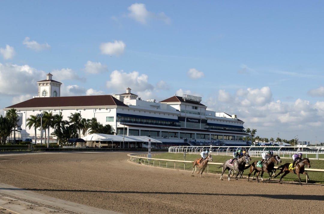 Gulfstream Park scenic Jan 30 2025