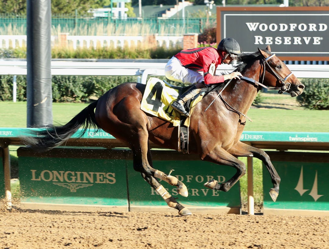 Handsome Pants wins maiden at CD Sept 14 2024