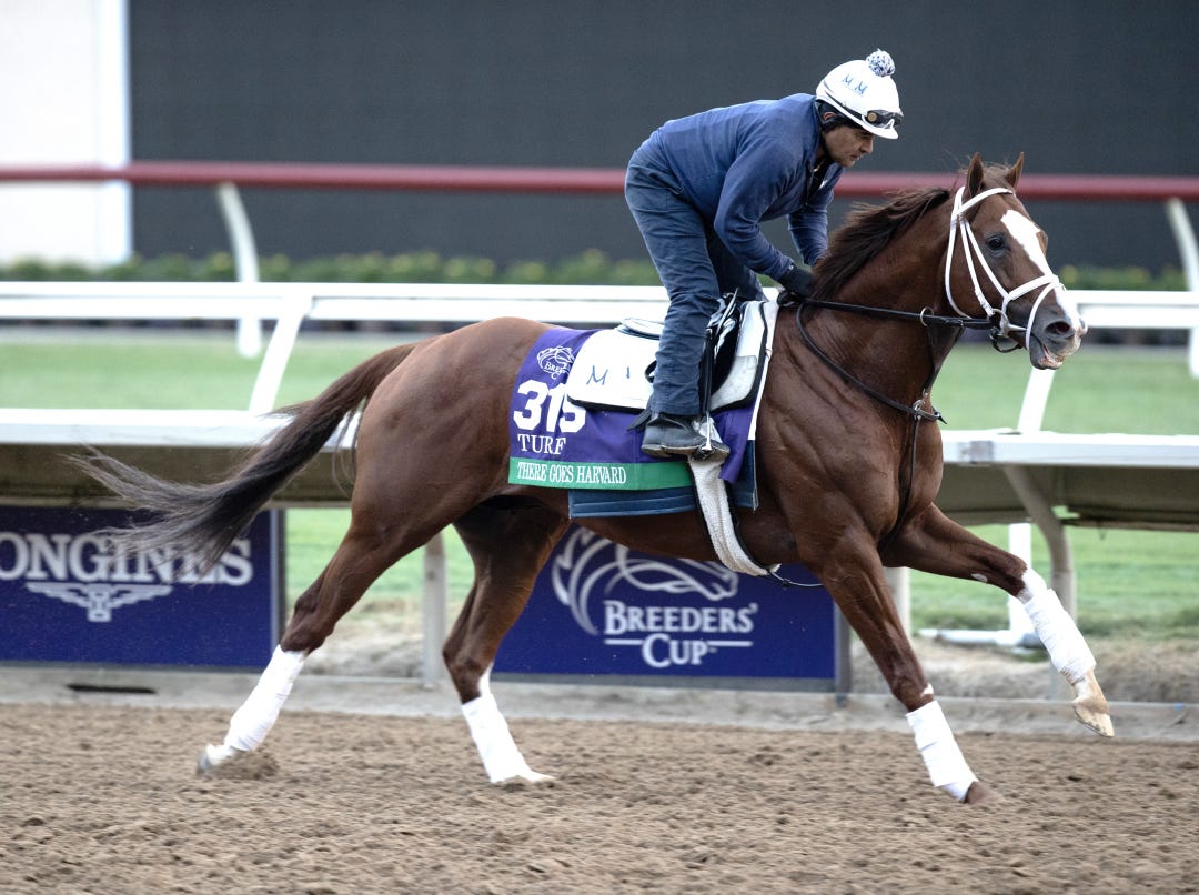 There Goes Harvard trains at DMR Oct 29 2024
