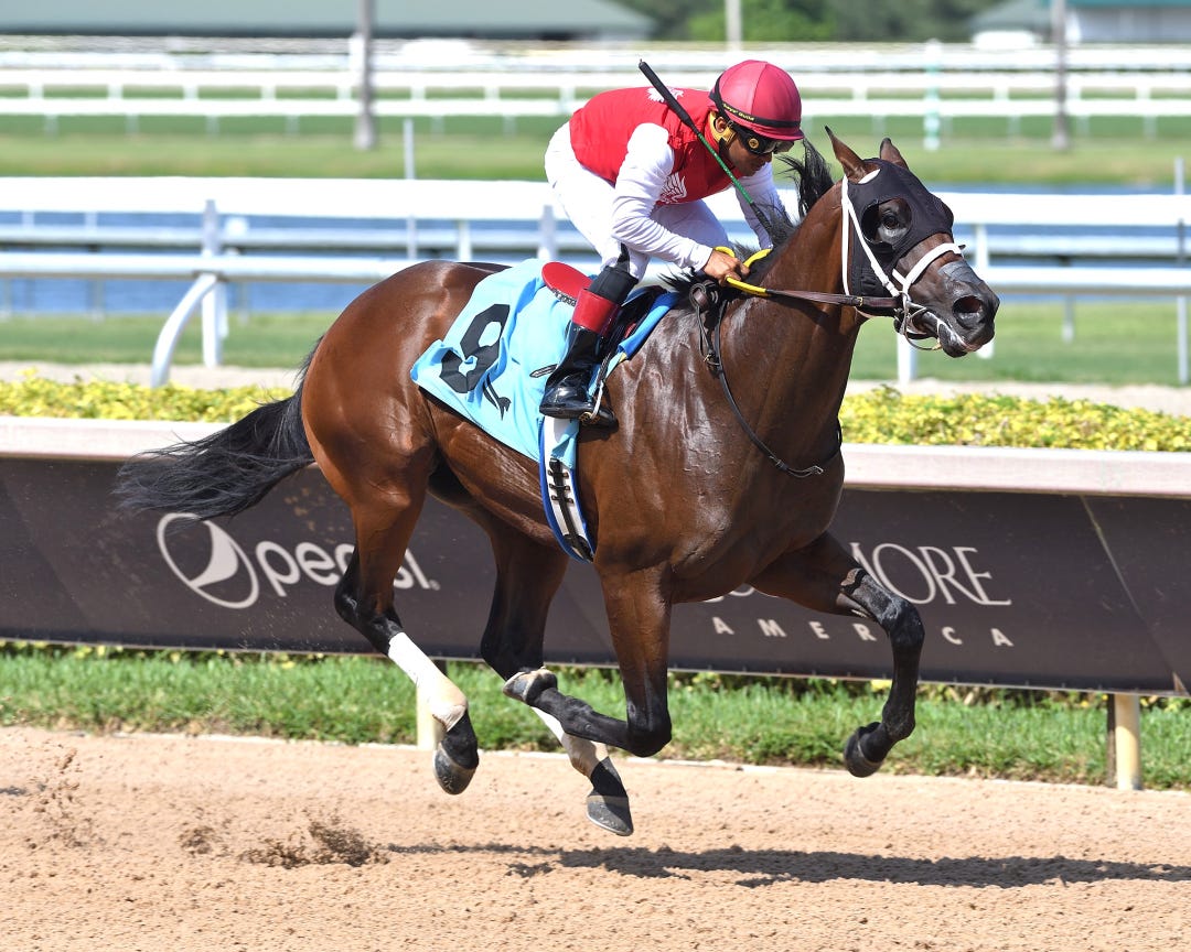Neoequos wins maiden at GP Aug 10 2024