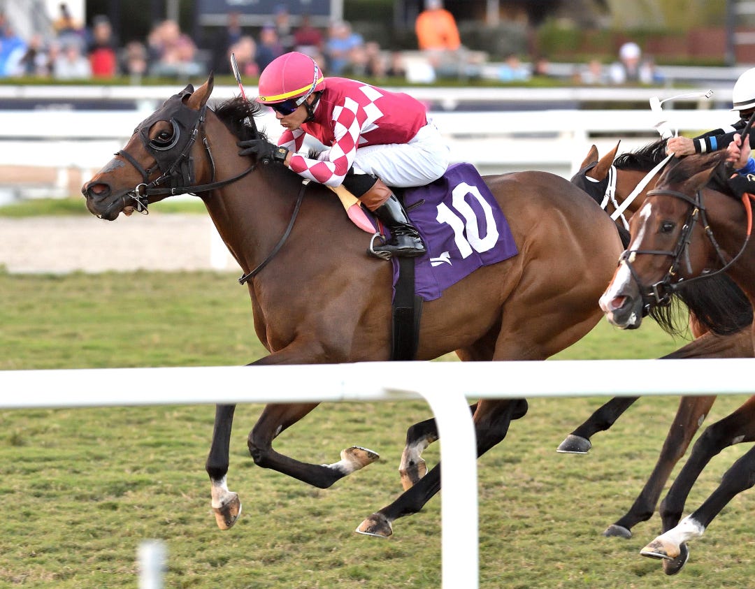 Nitrogen wins Ginger Brew at GP Jan 4 2025