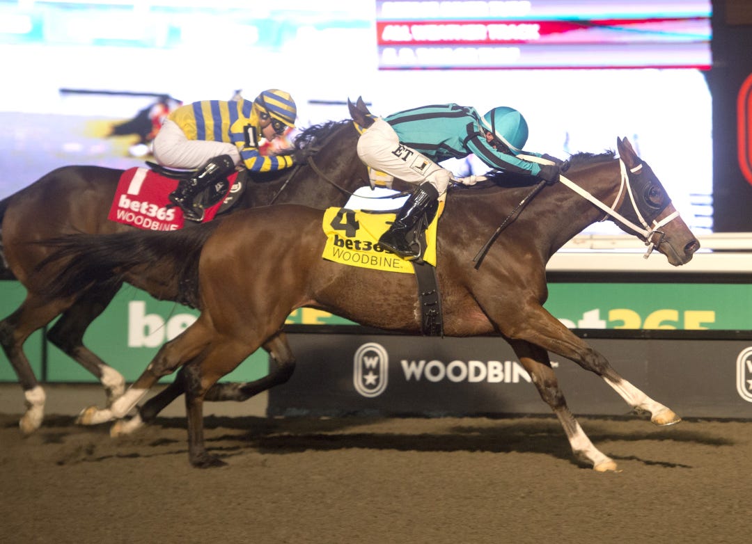 Nobals wins Kennedy Road at WO Nov 16 2024