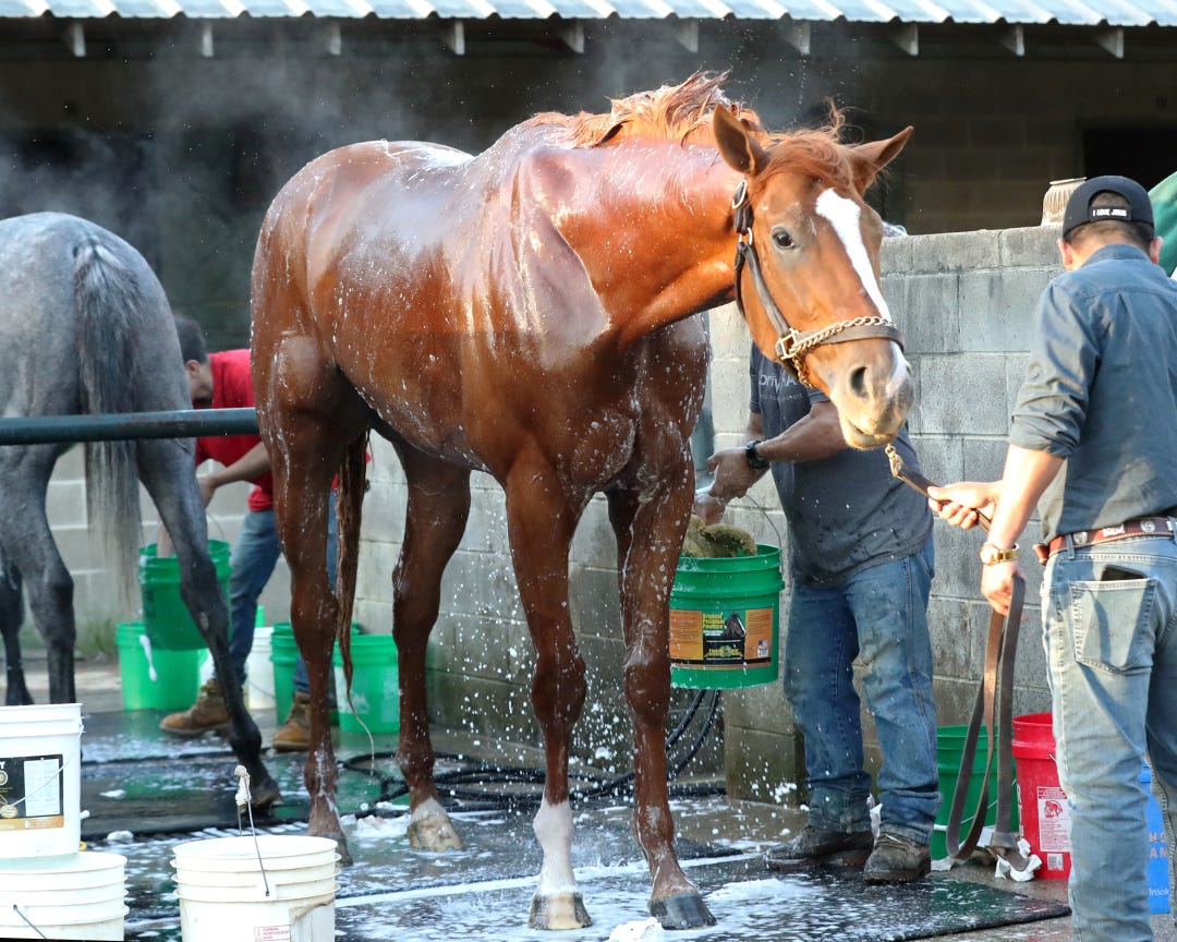 American Promise at OP March 27 2025