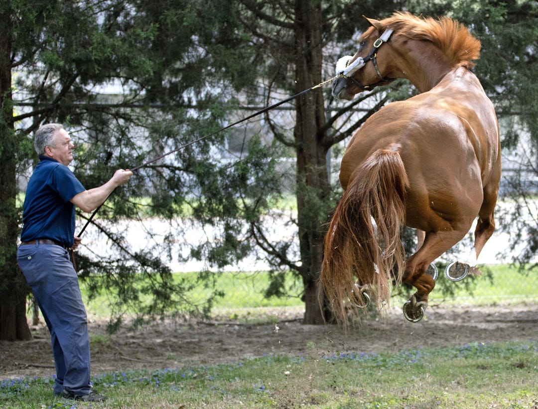 American Promise.Bas Nicholl at CD April 20 2025