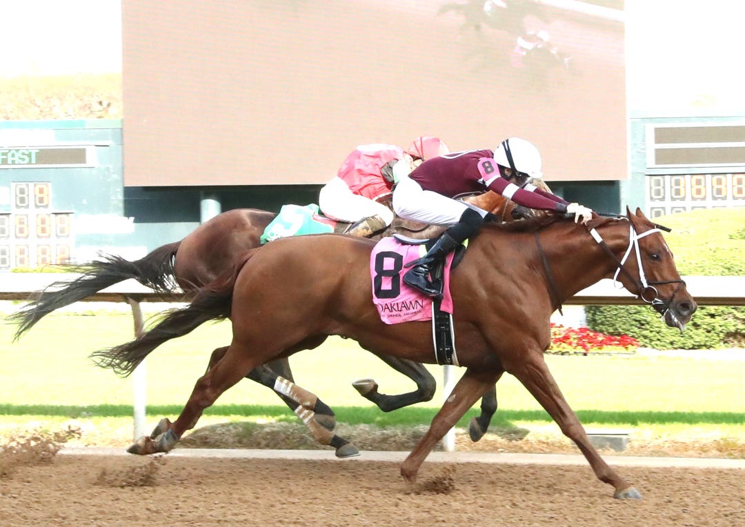 Disarm wins at OP March 14 2025