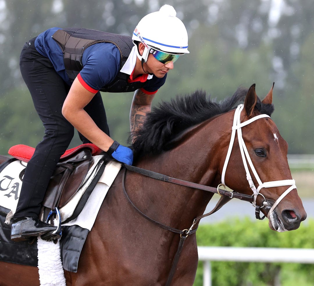 Grande trains at Palm Beach Downs March 2025