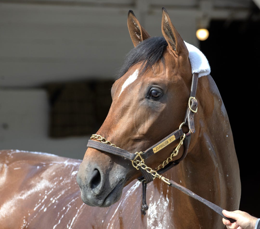 Journalism at CD April 22 2025