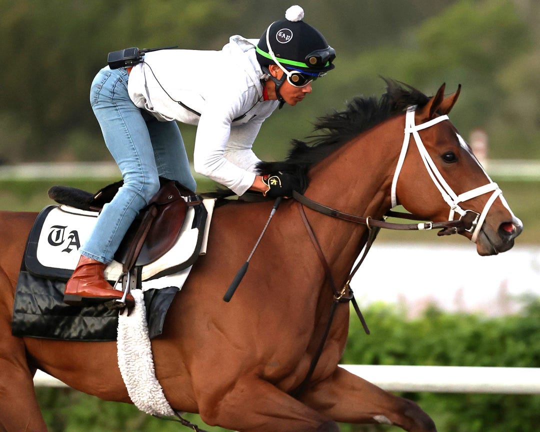 Miss Justify at Palm Beach Downs March 2025
