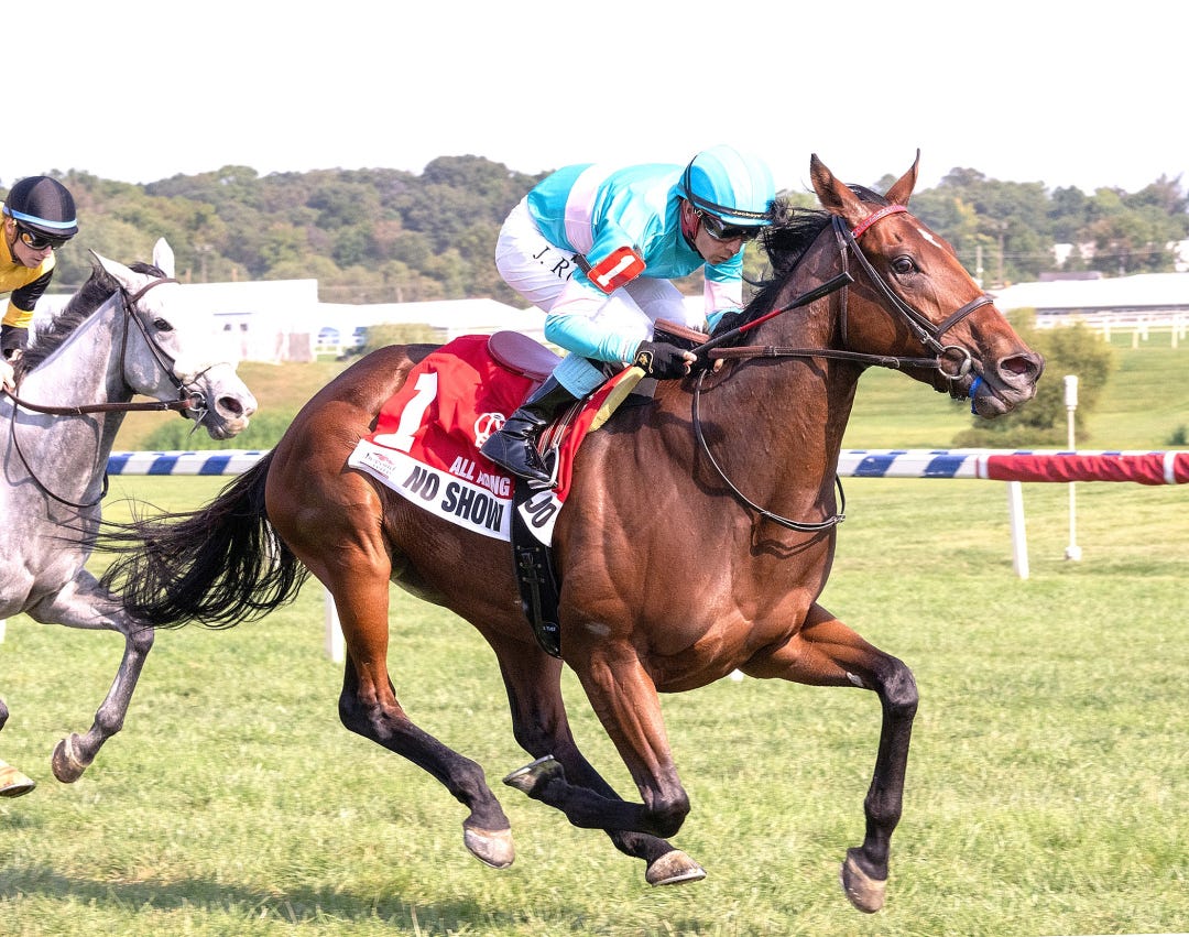 No Show Sammy Jo wins All Along at LRL Sept 14 2024