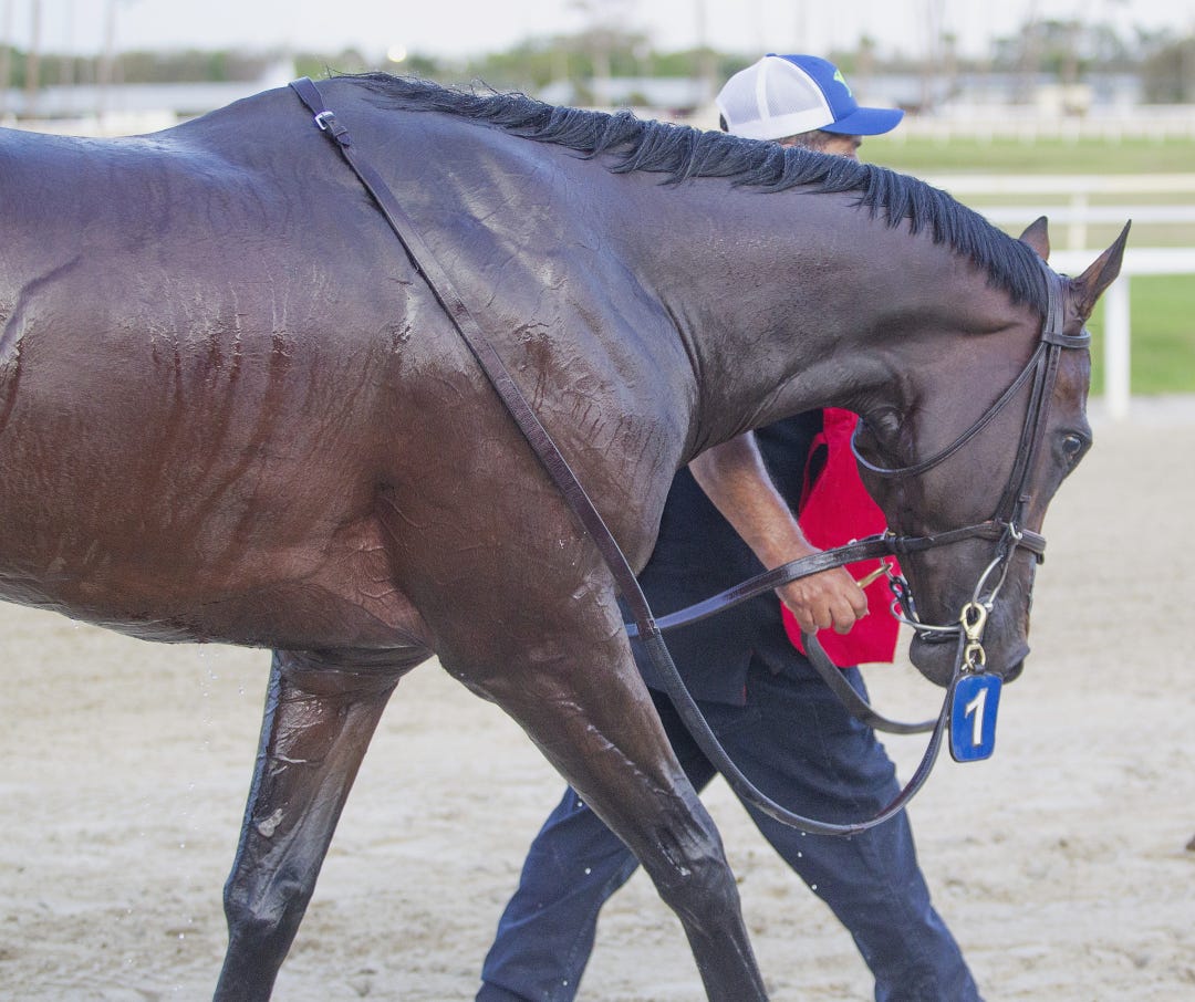 Owen Almighty at TAM March 8 2025