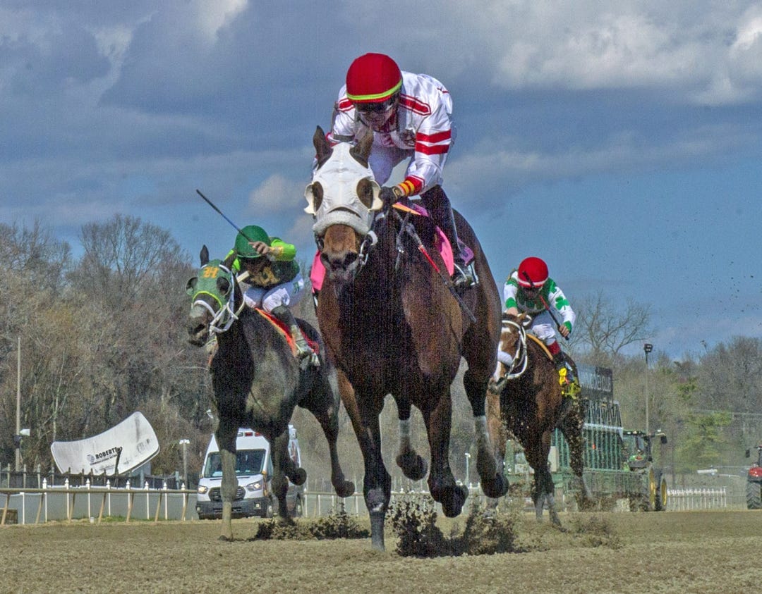 Pay Billy wins Private Terms at LRL March 22 2025