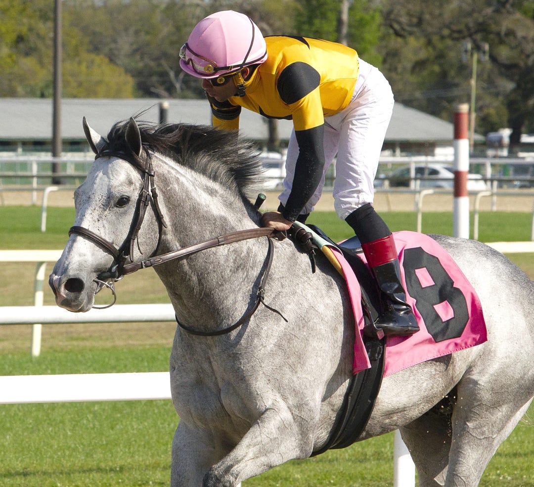 Revolutionnaire at TAM March 8 2025