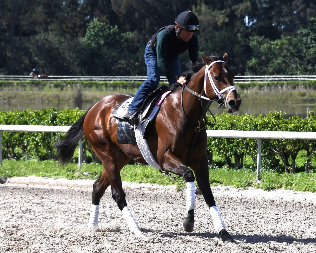 River Thames at Palm Beach Downs in March 2025