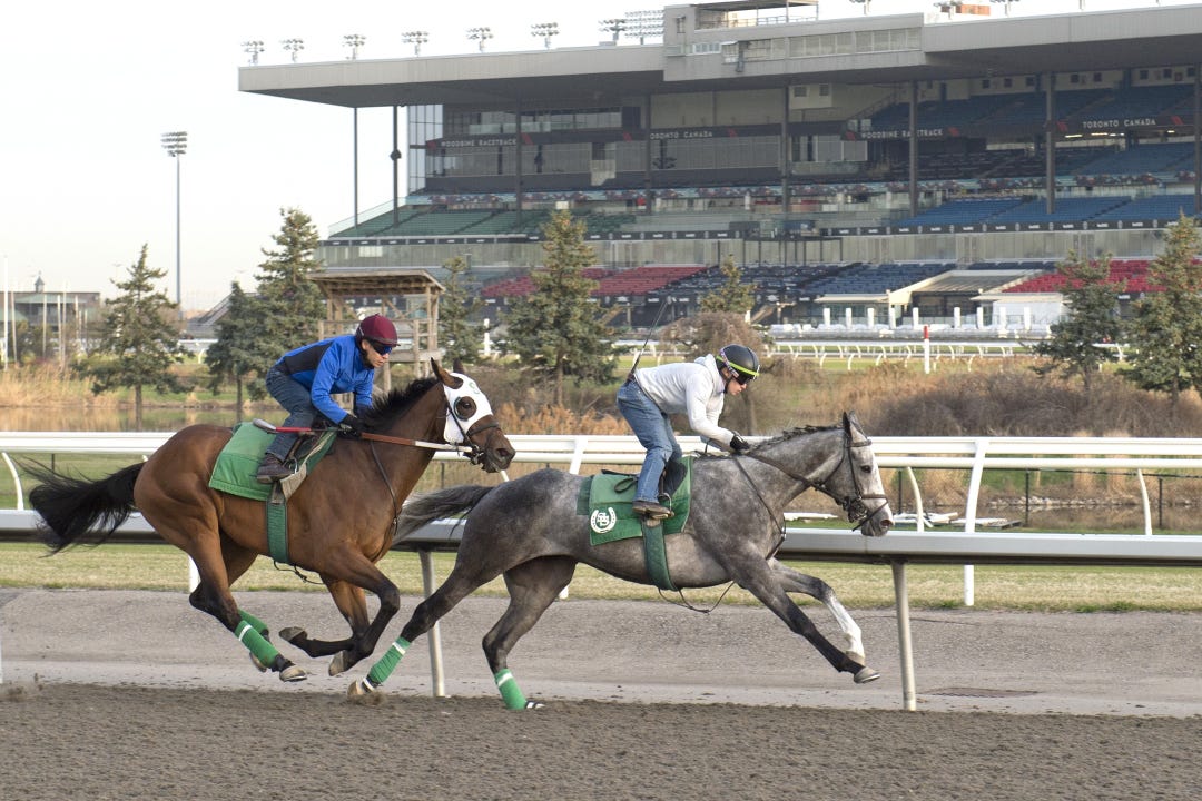 Woodbine scenicApril 24 2025