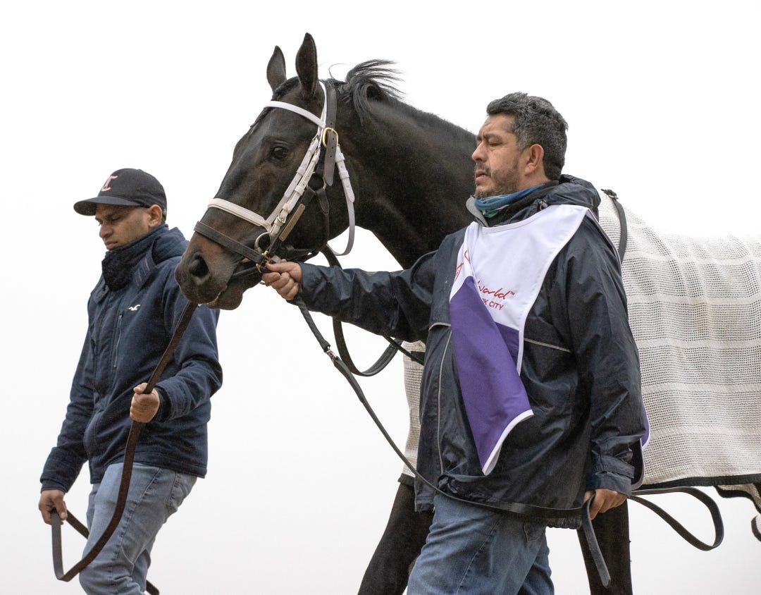 McAfee at AQU April 5 2025