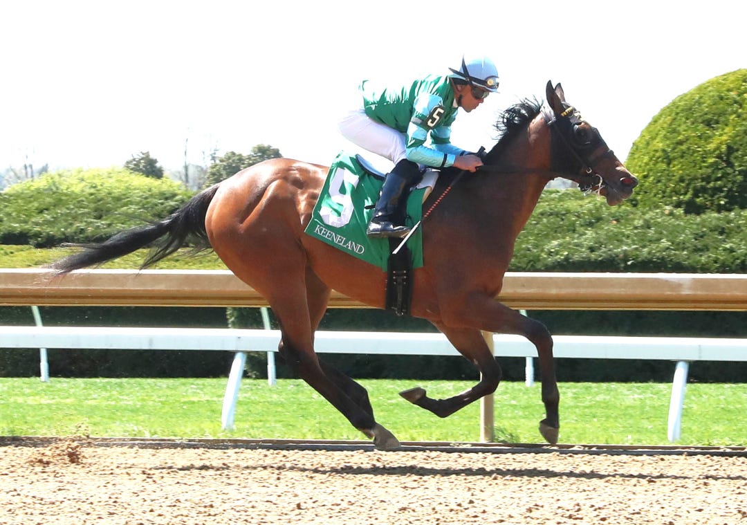 Satisfied Mind wins debut at KEE April 16 2025