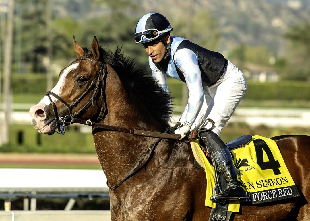 Air Force Red after winning San Simeon at SA March 8 2025