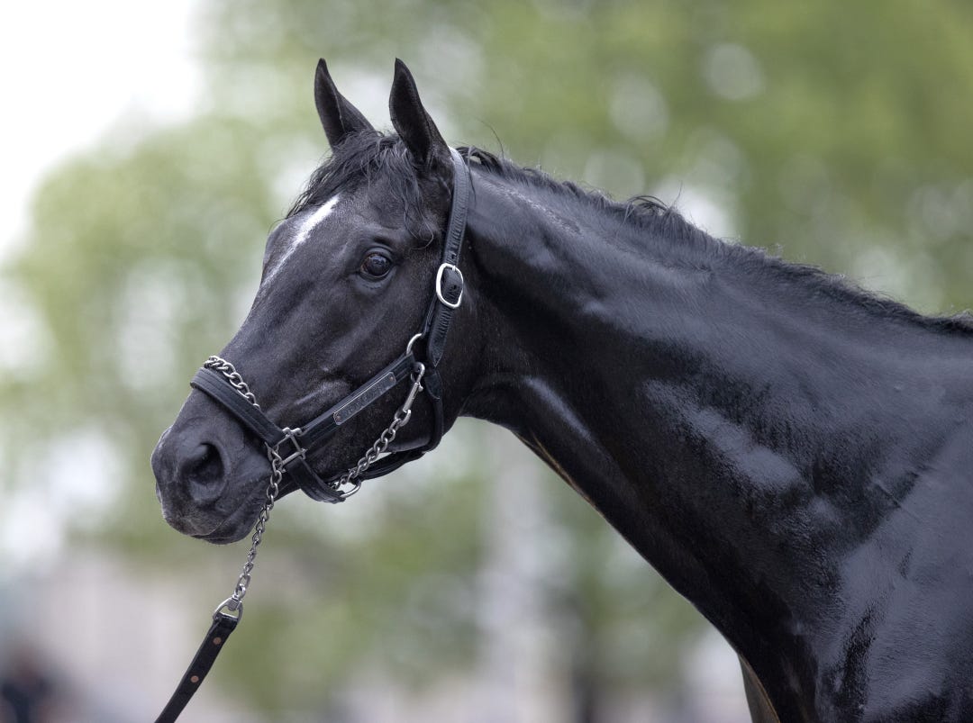 Chunk of Gold April 30 2025