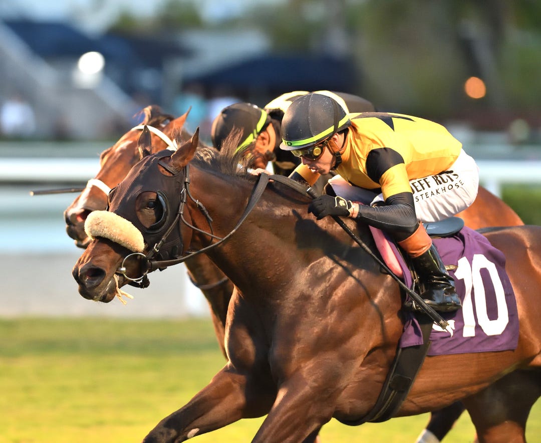 Cugino wins Tropical Park Derby at GP Dec 14 2024