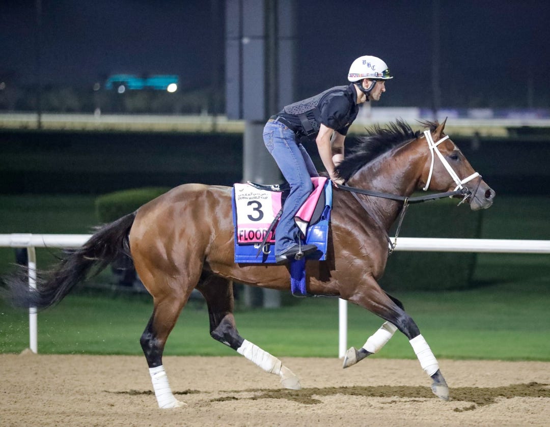 Flood Zone trains at Meydan April 3 2025