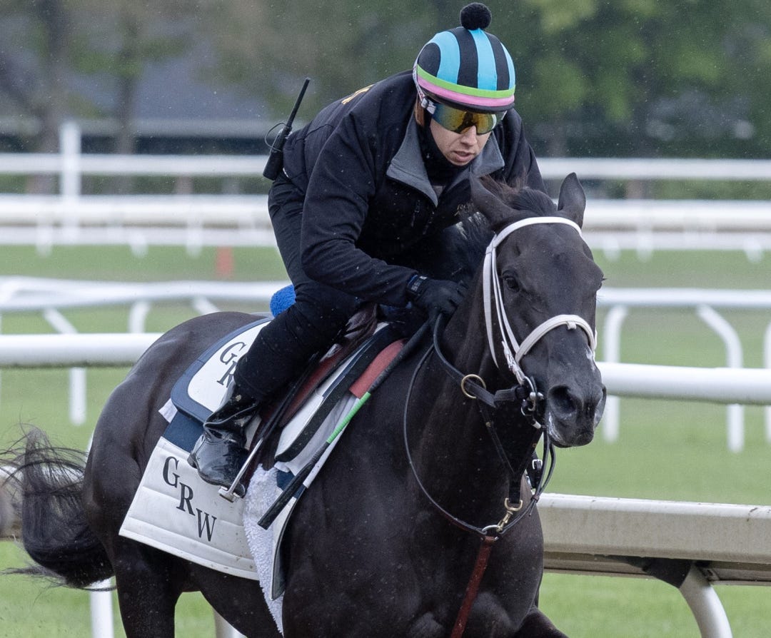 Sacred Wish works at SAR May 24 2025