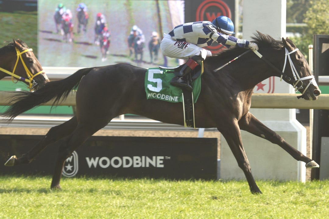 Dewolf wins Bull Page at WO Sept 15 2024